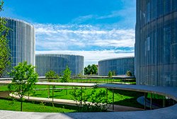 Executive Master in Management of International Organizations (EMMIO), in English - SDA Bocconi School of Management, Italy