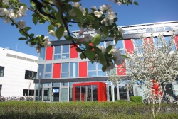 M.Sc. in Life Science Informatics - University of Bonn, Germany