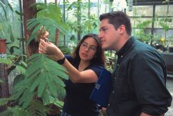 BSc Program on Molecular Ecosystem Sciences, University of Gttingen 