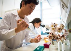 Erasmus Mundus Joint Master Degree in Plant Health in Sustainable Cropping Systems(EMJM PlantHealth)
 - Universitat Politècnica de València (UPV), Spain (Co-ordinator)