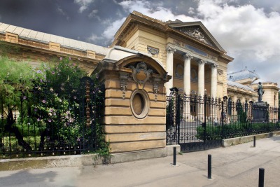 Medicine, Dental Medicine, Pharmacy, Midwifery and Nursing